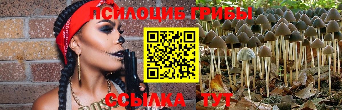 Кострома  Псилоцибиновые грибы Psilocybine cubensis  Вход с VPN 